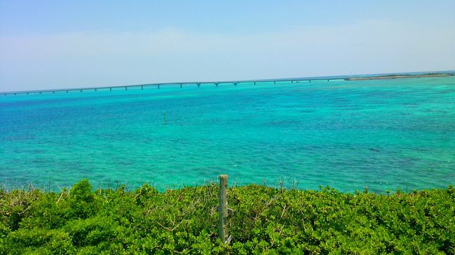 夕日で有名な西平安名岬。<br /><br /><br />でも夕日より青い空が何百倍も好きなのです。<br />ここからの眺めも大好きです(人´ з`*)♪<br />風車の音が凄かった〜！<br />