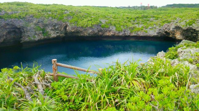 通り池はちょっと不気味な感じ((((；゜Д゜)))<br />更に池の中にすっごい大きな魚が見えて<br />ちょっと怖かった〜<br /><br /><br />旦那は池や湖が大好きなんで喜んでましたが。<br />