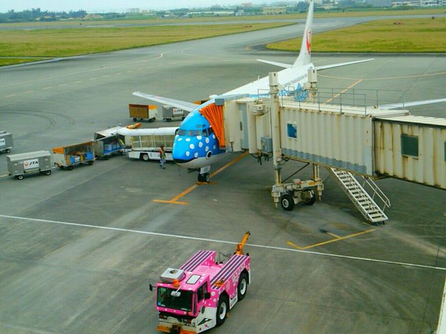 午後には那覇へ飛び、そこから地元へ。<br /><br /><br />１年前は怖かった飛行機も、今では<br />楽しく乗れるようになりました(///ω///)♪<br />