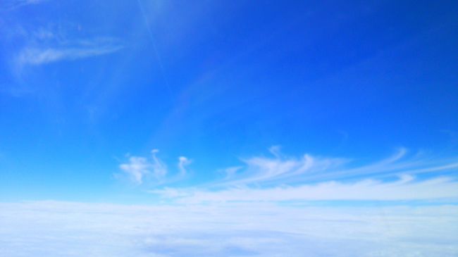 この６日間、毎日が満たされていて、<br />体中に沖縄を吸い込んだ気分になりました。<br /><br /><br />ではまた２ヶ月後にwww<br />