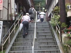 「伊香保温泉の石段街」にやって来ました。

伊香保温泉は、その発見は1900年前とも1300年前とも言われ、古くは万葉集にもその名が登場しているのだそうです。

現在の温泉街が形成されたのは戦国時代で、長篠の戦いで負傷した武田兵の療養場所として武田勝頼が当時上州を支配していた真田昌幸に命じ整備されたと伝わります。
石段もこのときに出来たそうです。
