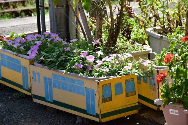 ムーミン列車が走り 不思議な魅力いっぱいの いすみ鉄道 千葉 いすみ 大多喜 千葉県 の旅行記 ブログ By かっちんさん フォートラベル