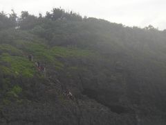 真栄田岬でビーチダイビングするには、この断崖を登り降りしなければいけません。（私には無理）