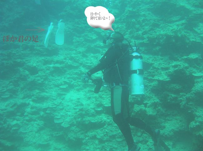 いつもと同じく、船の下で待ちぼうけ！<br /><br />いつまで経っても上手くならないポカくん。陸上に上がるとダイビングのことはすべてリセットされてしまいます。