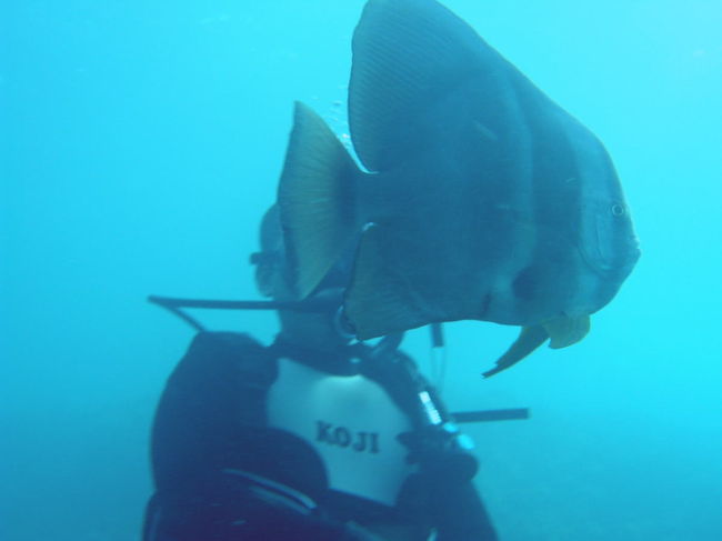 そして青の洞窟を抜け出し安全停止