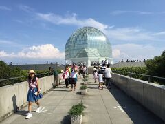 今回のお目当は臨海水族館