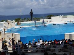 ９：３０DFSを出発チェックインまでに時間が
あるので美ら海水族館へGO!!
途中、許田で割引チケットを購入。
１１：００のおきちゃん劇場にギリギリセーフ。