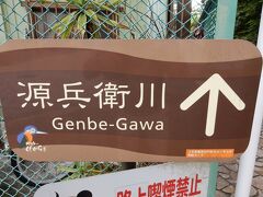 まだまだ祭りは始まりませんよ。
もう少しお待ちください（笑）

健康的に源兵衛川に朝の散歩へ！
