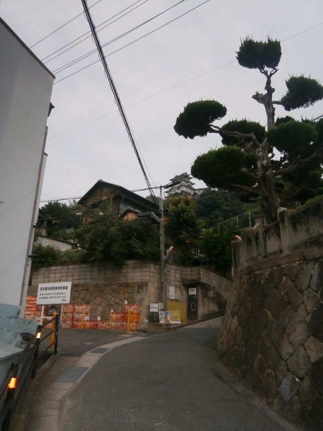 尾道9時前に到着、てくてく歩きます・・・坂とお寺が多い。