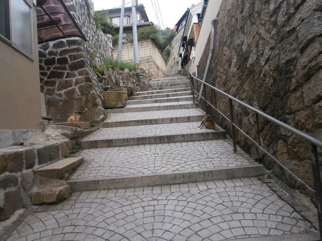 ほんとに2時間以上歩いて運動不足も解消です。