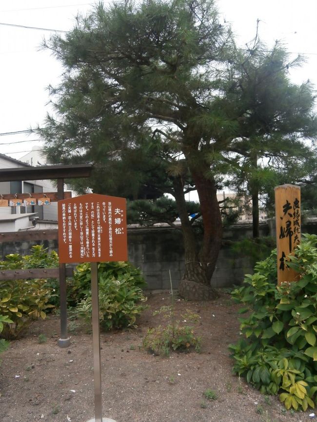 尾道は愛の聖地？だそうで、夫婦系の何かが多いな・・・