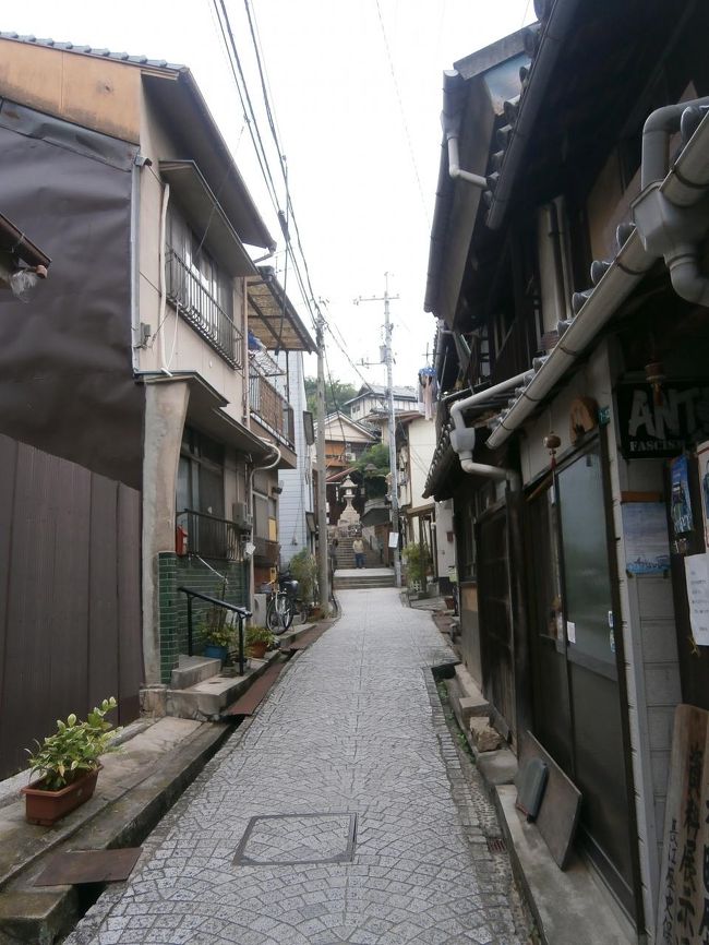 道はきれいに整備されていて歩きやすいです。