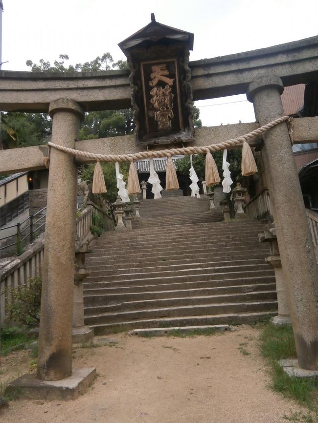 ここを迂回して行こうとしてたら、地元のおっちゃんが、この階段で転校生という映画撮られたので見ていきなさいとのことで上がってみます。