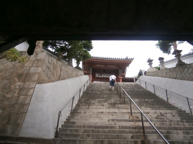 このトンネルの上がJRです。