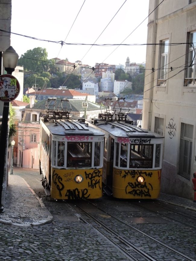 グロリア線のケーブルカーに沿って、降りることにしよう。 <br />しかし、このケーブルカーの落書き、どうにかならないのか？ 