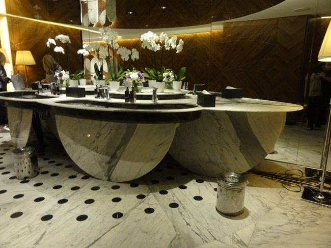 飲食はせず、シャワーを借りて、楽しみにしていたトルコ航空ラウンジ体験終了！<br /><br />大理石に蘭の花、この美しい場所はトイレの手洗い場所だ。<br />やりすぎじゃないの？って感じが素敵だったな。