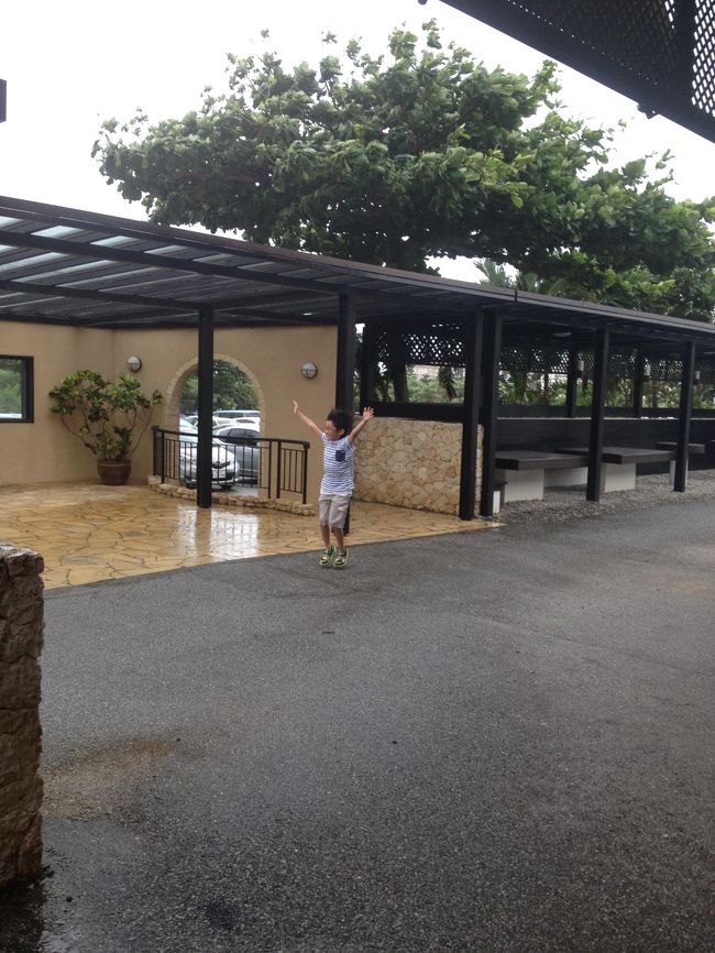 今回の台風１３号は宮古島ではどちらかというと風が中心でした。<br />雨も降ったけれど豪雨という感じではなかった。<br /><br />やっと外に出れてうれしい次男。<br />台風の風に吹かれてはしゃいでます。