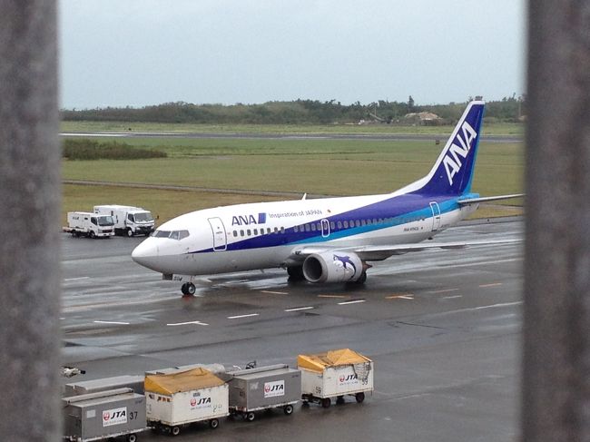 おお！ＡＮＡが飛ぶのか！？<br /><br />地元の皆さんいわく、ＪＴＡやＲＡＣは台風が過ぎたらすぐ飛ぶけど、<br />ＡＮＡはわからないと。<br />結局、夕方頃にはすべての飛行機会社が平常運航に戻ったようです。<br /><br />