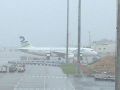 朝一番の便で、那覇空港に到着！
お天気は…土砂降り (´･_･`) 
お隣の飛行機が霞んで見えます。
東京よりかなり涼しい外気温のアナウンスに、気分は↓↓

気を取り直し、レンタカー、高速道路で恩納村へ向かいます。
途中、中城PAで朝食。初沖縄料理はソーキそばでした ^o^
