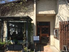 くるみの木、昔から大好き。今も健在。