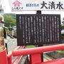 会津を訪ねて③　只見川に赤い橋の映える町柳津