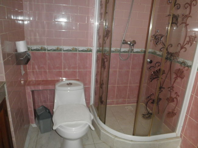 ン?　この仕切りは？<br />水が便器にかからないように取り付けたんでしょうが<br />それが有り難た迷惑　微妙・・・