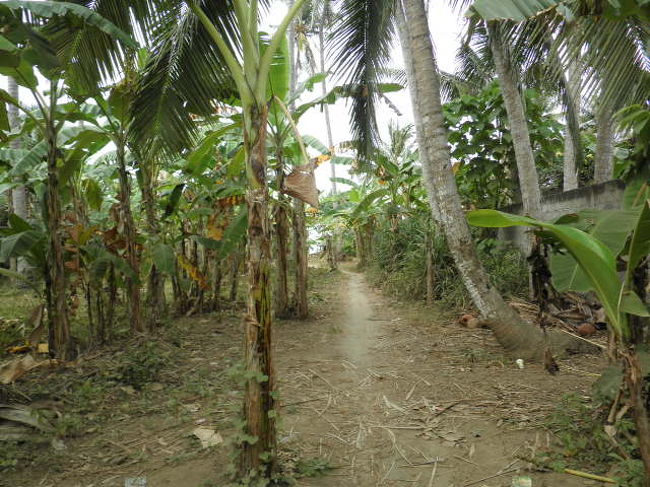 チャンディダサにはビーチはないです（きっぱり）<br />引き潮の時のみ、転々と白砂ビーチが現れます。<br /><br />アマルタコテージ、チャンディビーチのあたりには<br />あるのかもしれません・・・が、もう確認に行く元気はありません。