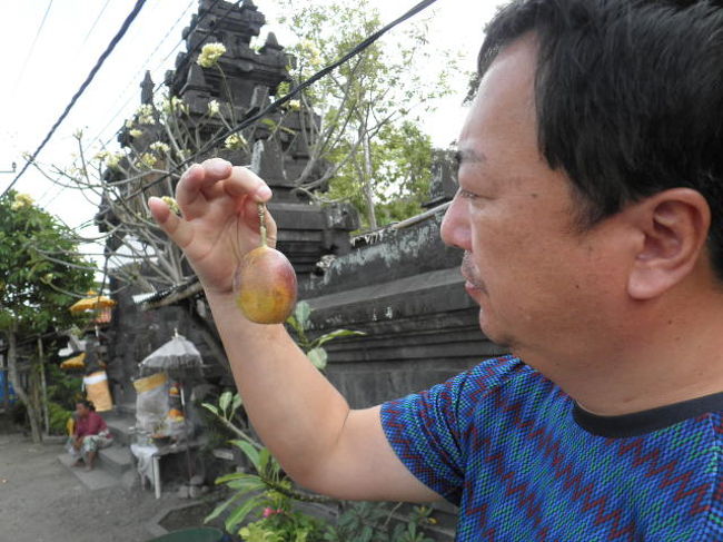 ちょっと食ってみるか・・・