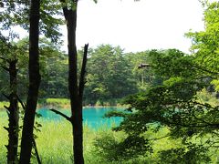 夏色の木々の間に覗くエメラルド色の沼は弁天沼。
陽の光が当たると、その輝きが更に増す。

