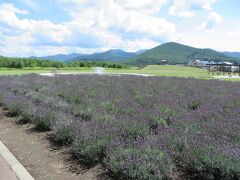 またまた帰り道で南富良野の道の駅でラベンダーを見てきました。

もう終わりかけでしたので，あんまり綺麗ではないですが・・・



今回も天気に恵まれ，良いキャンプでした♪