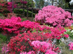 平成つつじ公園