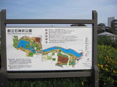 石神井公園