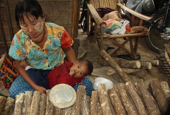 ミャンマーのバガンの朝市、女性はタナカという木の白い樹液を顔に塗る習慣がある。手前の木を石うすで削り樹液をとる。市場で売っていました。