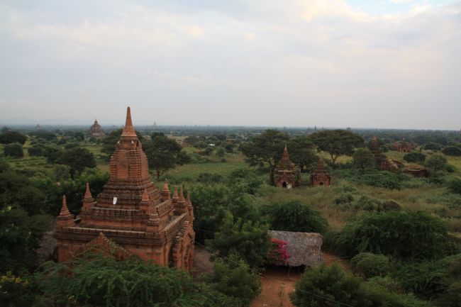 無数のバゴダが見えます。大小様々です。