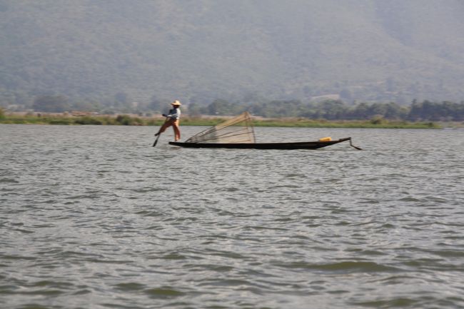 インレー湖の漁法、足で櫓をこぎ、網を打つ。