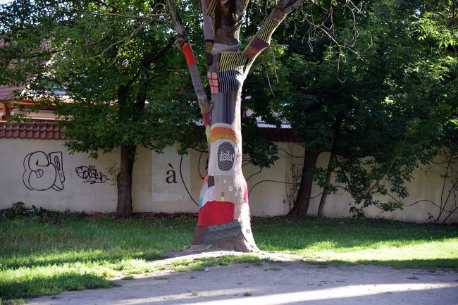 木までおしゃれ。お店の看板でしょうか。