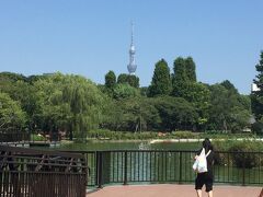 園を出ると東京スカイツリーが