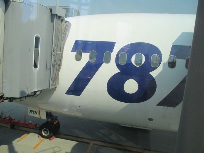 お初の７８７。ハノイまでよろしくね〜。