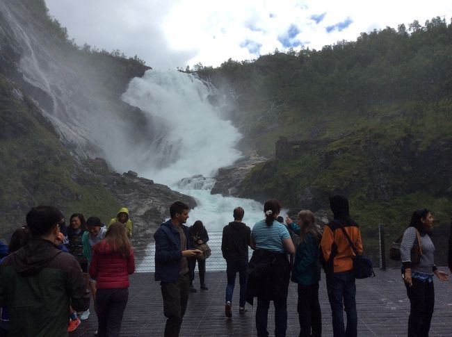 ミュールダール着フロム鉄道に乗換えフロムへ<br />お約束のフロム鉄道。<br />この後赤いドレスを着た女性が出て寸劇をしてくれます。