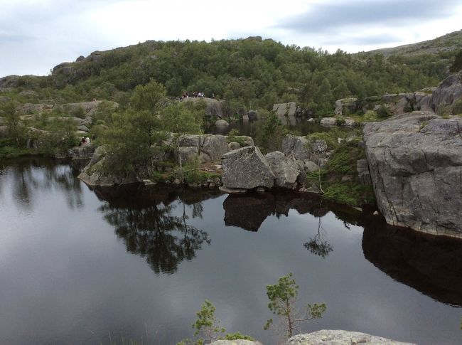 昼も食べて満喫したので下ります。<br />登るより下りる方が大変！私の膝のヒアルロン酸はここで三分の一は減ったと思う。<br />途中何でもないぬかるみを飛び越えようとした女性が胸まではまったのを見てしまった。底なし沼か？<br />降りたら降りたで女性が膝から血を流して負傷、Gパンが半パンになってた。<br />もし行かれるなら充分気をつけて、最後まで気を抜かれませんように。