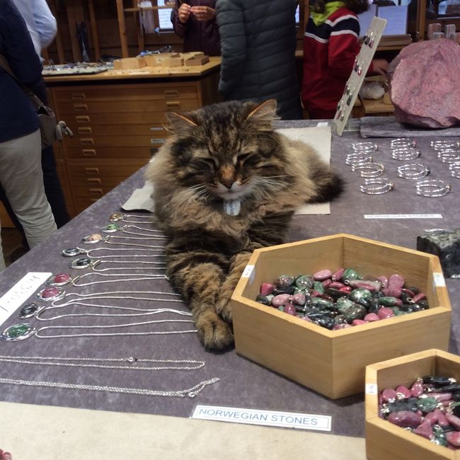 ストーンショップの看板猫。<br />北欧初のお猫様ゴージャス。しかしおとなしい。うちのと全然違うじゃないか。