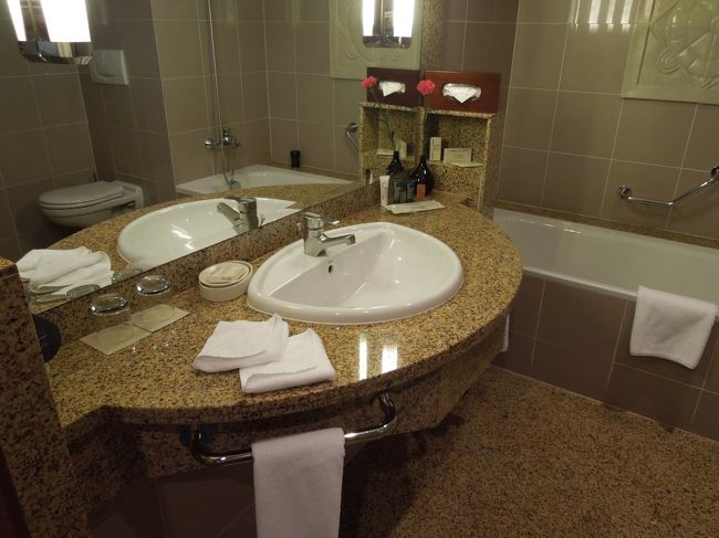 シンクは一つなのね〜。