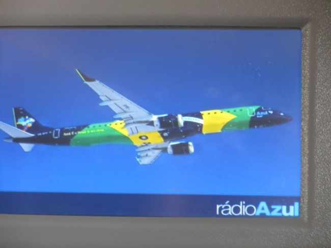 綺麗なマーキング