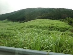 ２日目（８／４）　箱根観光

昨夜も早めにぐっすり休んだので、今朝は、６時には目覚めた。朝食の時間は、８時から９時とゆっくりなので、夫と二人で仙石原を散歩した。大通りから裏の道に入り、ぐるっと大きく、宿の周りを一回りして３６００歩、４０分で歩いたので、ゆっくりだった。宿に戻って、朝湯に入り、朝食をゆっくりとってから箱根観光に出発した。

↑　仙石原のススキ野原

 