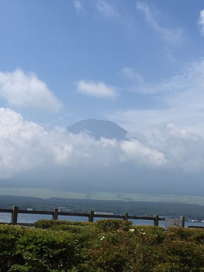 １３日の早朝、前泊していた山中湖の別宅で激しい雨音で目がさめる<br />予報どおり、やっぱり雨なんだ…<br />混むのを予想して早めの6時半に出発。<br />あ、写真は前日のの富士山です<br /><br />山中湖から御殿場、御殿場から沼津、伊豆縦貫道で思った以上に早く伊豆入り<br /><br />途中御殿場付近で朝ごはん食べる予定が、時間が早すぎて食べられず、お腹ぺこぺこ  <br /> 中伊豆の大平辺りのコンビニでやっと簡単なパンとジュースの簡単な朝ごはんを頂きました<br /><br /><br />