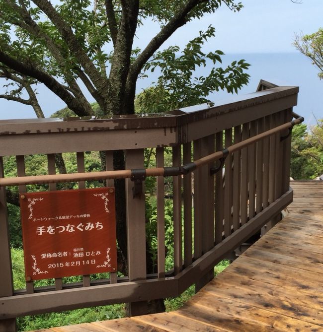 雨上がりでの木の階段、５０代夫婦が手をつないだら足を滑らせて共倒れになる予感<br /><br />