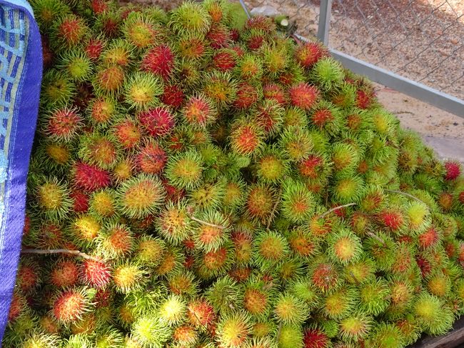 ここの果物は周辺で採れた無農薬で<br />新鮮で安いとの事