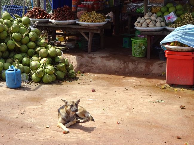 犬ちゃんに別れを告げ