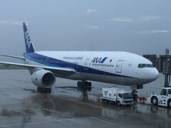 広島空港からANA便で出発です。

この飛行機は東京行きですが・・