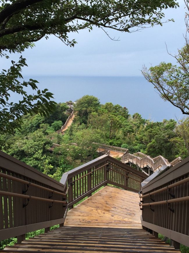 膝が笑い出しながらも、ゆっくりと５０代夫婦は来た階段を登る<br /><br />途中で断念して引き返すカップルやファミリーも多かった<br /><br />ハアハア言いながらも断念組にちょっと優越感を感じてみる（笑）以外とね、近かったよ